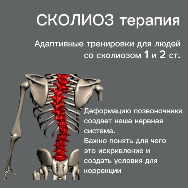 Работа двух диафрагм — брюшной и тазовой